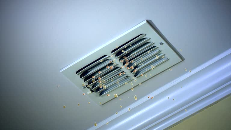 Best Affordable Air Duct Cleaning  in Kyle, TX