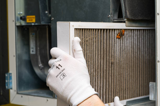 Best Affordable Duct Cleaning Services  in Kyle, TX