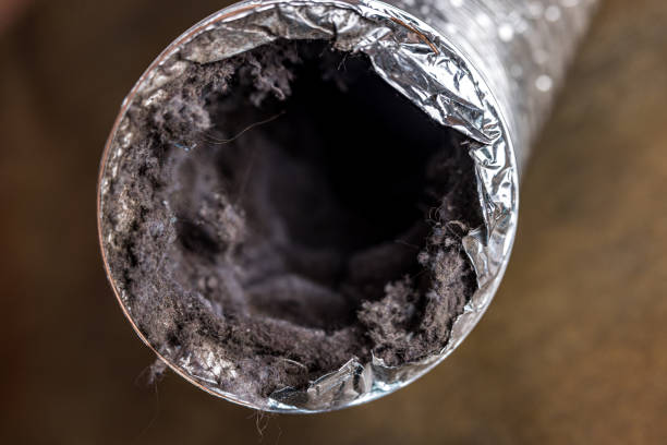 Best Residential Air Duct Cleaning  in Kyle, TX
